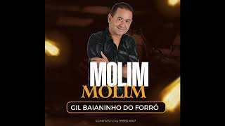 MOLIM MOLIM POLÍTICA  GIL BAIANINHO DO FORRÓ 74 999558167 [upl. by Tiertza342]