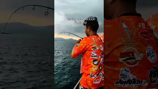 Fishing competition in Thailand travel trending 4k fishing thailand happy foryou music fyp [upl. by Enairb]