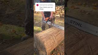 Is THAT sharp stihl chainsawman satisfying powertools chainsaw shorts viral roadto20k [upl. by Lachman]