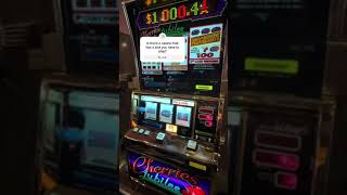 🍒 CHERRIES 🍒 JUBILEE AT MGM GRAND casino slotmachine slot gambling grubngambling [upl. by Halpern892]