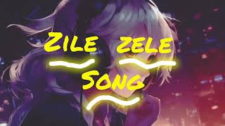 zile zile song 🎵 🎧 attitude song 😎 [upl. by Araes]