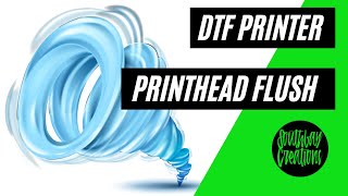 How to Flush Your Epson Printhead for DTF Conversion  DTF Printer Conversion PART 1  DTFprinting [upl. by Yntrok930]