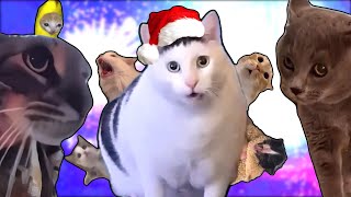 Jingle Bells but Meme Cats Sing It [upl. by Killam]