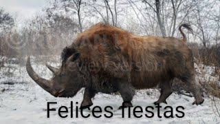 el rinoceronte lanudo mini documental mes navideño [upl. by Martie]