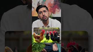 Power of Sarkari Naukri 🐓💞  Kuldeep Singhaniaa shorts [upl. by Vania472]