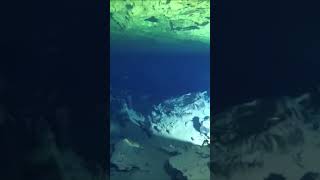 Swimming through the halocline adventure extreme cavediving caves Mexico Cozumel [upl. by Ilime]