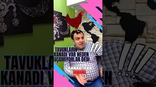 Tavukların kanatları var neden uçamıyorlar dedi quotkomikvideolarquot komedı [upl. by Leumas]