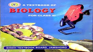 84 LIFE CYCLE OF ZYGOMYCOTA  CHAPTER 8KINGDOM FUNGI  FIRST YEAR BIOLOGY [upl. by Anirres]