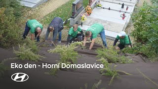 HMMC TV 392024  Pomohli jsme na domaslavickém hřbitově [upl. by Cooperstein257]