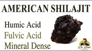 American Shilajit Understanding Humic and Fulvic Acids [upl. by Yehudit]