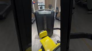 Rotary Torso fitness gym fitnessequipment [upl. by Sonny]