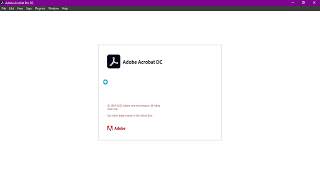 How to install Adobe Acrobat DC 2020 [upl. by Kciredes885]