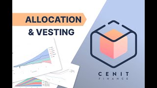 Set Up Your Vesting Schedule and Allocation Properly  Tutorial [upl. by Murry878]