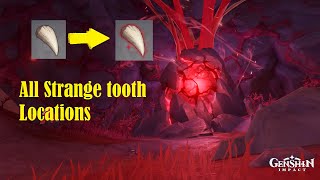 All Strange Tooth Locations Guide  Genshin Impact [upl. by Rafter]