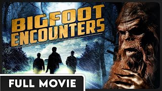 Bigfoot Encounters  A Collection of Sasquatch Appearances  FULL DOCUMENTARY [upl. by Haliehs]