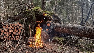 Bushcraft in a cold autumn forest Building a SHELTER for SURVIVAL in a wild forest No Sleeping Bag [upl. by Adigun602]