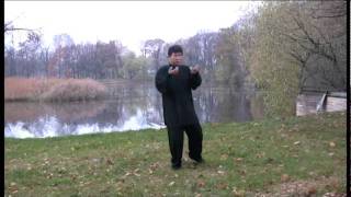 Yang Shao Hou Xiao Jia Taiji Quan 楊氏小架太極拳  楊少侯小架太极拳 fragment [upl. by Gawain]