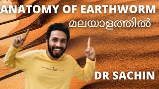 anatomy of earthworm  malayalam  class 11  body layers of earthworm  NCERT  knowledge vlogger [upl. by Iahc]