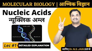 Molecular Biology  Nucleic Acids Lec1 Hindi Medium [upl. by Nnaeirual]