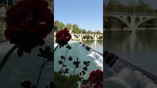 Marvelous Bremgarten 🇨🇭 Switzerland switzerland swissnature shortvideo swissbeautiful shorts [upl. by Tnomed373]