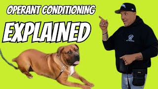 Operant Conditioning in Dog Training Explained Simply [upl. by Enitram]