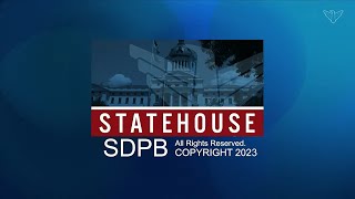 South Dakota Senate 1312023  LD 14 [upl. by Drabeck]