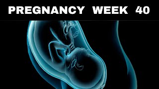 Pregnancy Week 40 Signs of Labor Baby Position amp Discomforts [upl. by Ettezil562]