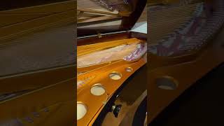 Bosendorfer 280VC Concert Grand Piano [upl. by Anahcar971]