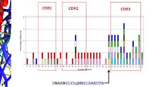 ProMap® Naive T cell Proliferation Assays [upl. by Aiykan]