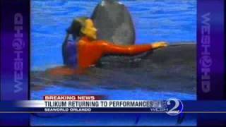 Whale That Killed Trainer Returning To SeaWorld Shows [upl. by Tien948]