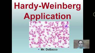 Hardy Weinberg Application [upl. by Dilks]