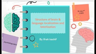 Structure of brain amplanguage localization and lateralization [upl. by Fabyola]