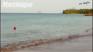 Son de La Mer pour Tendormir  Martinique  Caraïbes  Relax  Les Antilles  France [upl. by Elaine933]