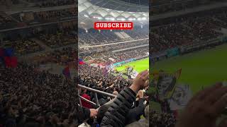 Atmosfera superba in Peluza FCSB ☠️ FCSB Midtjylland shorts youtubeshorts reels europaleague [upl. by Theurer]