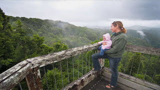 Highway 1 Australias greatest road trip Gondwana rainforests of NSW [upl. by Nnainot275]