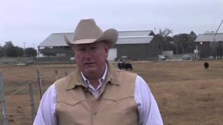 Ron Gill  Preconditioning Calf Management  Introduction to Preconditioning Calves [upl. by Shaun]