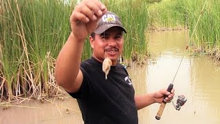 Catching Crawfish On Rod And Reel [upl. by Merriam]