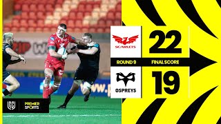 Scarlets vs Ospreys  Highlights from URC [upl. by Voss]