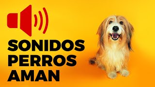 Sonidos Perros Aman  sonidos que les encanta escuchar a los perros [upl. by Libna927]