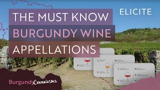 The Complete Guide To Key Burgundy Appellations [upl. by Julie171]