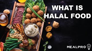 What is Halal Food How do I Make Halal Foods [upl. by Acemat]