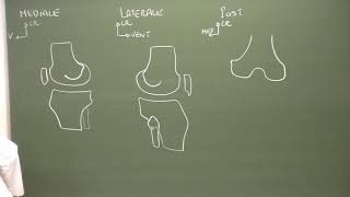 MI 2  Anatomie du genou Knee anatomy [upl. by Maghutte236]