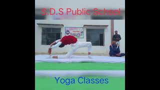 Yoga Classes in SDS Public School Garhi Abdulla Khan Shamli [upl. by Kursh]