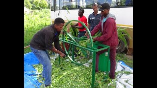 Affordable forage chopper for smallscale farmersBurkina Faso [upl. by Krefetz]