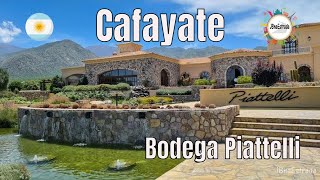 Argentina  Cafayate  Bodega Piattelli [upl. by Budding]