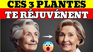 CES 3 PLANTES TE RÉJUVÉNENT [upl. by Cassiani557]