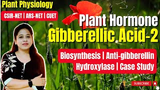 Plant Hormone Gibberellic Acid Part 2 Biosynthesis  Antigibberellins  Hydroxylase  Case Study [upl. by Odrarej]