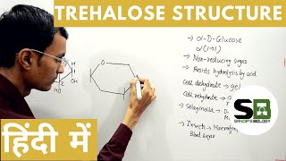 Trehalose structure in Hindi [upl. by Weidman]