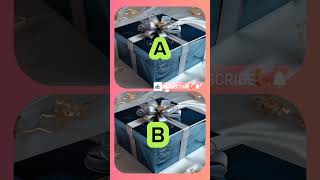 Choose your gift box 🎁 chooseyourgift giftbox money choose duet gift [upl. by Josh846]