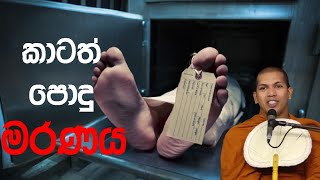 කාටත් පොදු මරණය  Ven Kirulapana Dhammavijaya Thero [upl. by Sasnett]